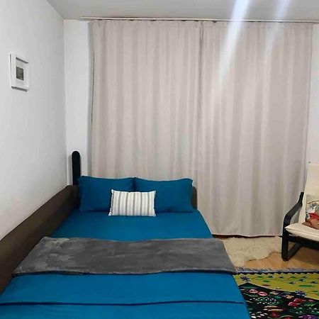 Central Apartment Muncii Area Netflix Bucureşti Eksteriør bilde